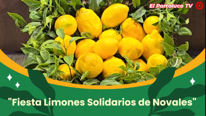 El sábado día 9 se celebra el día grande de la XIV Fiesta de los Limones Solidarios en Novales (Alfóz de Lloredo)